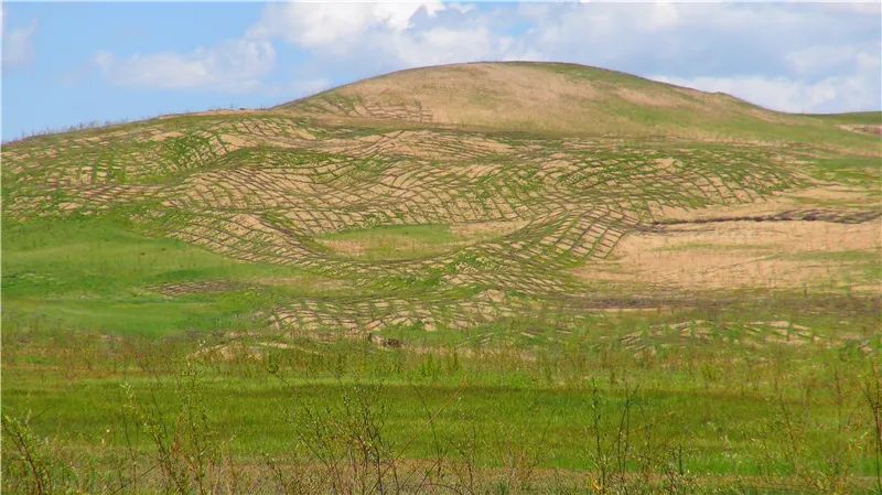 若爾蓋縣2020年國(guó)家重點(diǎn)生態(tài)功能區(qū)轉(zhuǎn)移支付川西高原生態(tài)脆弱區(qū)綜合治理（代理招標(biāo)）項(xiàng)目