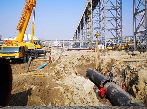 2021招標(biāo)代理案例